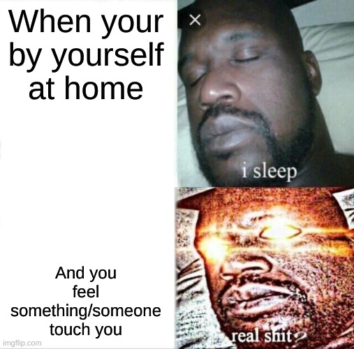 Sleeping Shaq Meme | When your by yourself at home; And you feel something/someone touch you | image tagged in memes,sleeping shaq | made w/ Imgflip meme maker