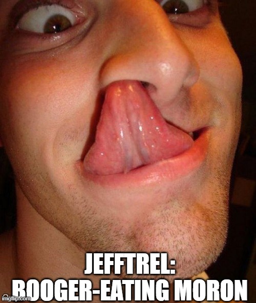 JEFFTREL:
BOOGER-EATING MORON | made w/ Imgflip meme maker