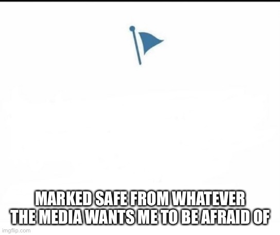 Marked Safe Facebook | MARKED SAFE FROM WHATEVER THE MEDIA WANTS ME TO BE AFRAID OF | image tagged in marked safe facebook | made w/ Imgflip meme maker