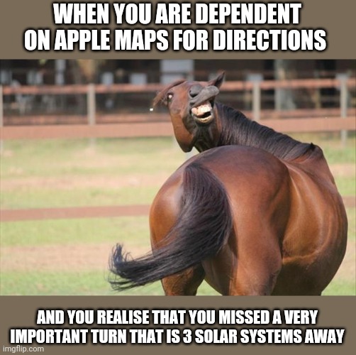 funny horse | WHEN YOU ARE DEPENDENT ON APPLE MAPS FOR DIRECTIONS; AND YOU REALISE THAT YOU MISSED A VERY IMPORTANT TURN THAT IS 3 SOLAR SYSTEMS AWAY | image tagged in funny horse | made w/ Imgflip meme maker