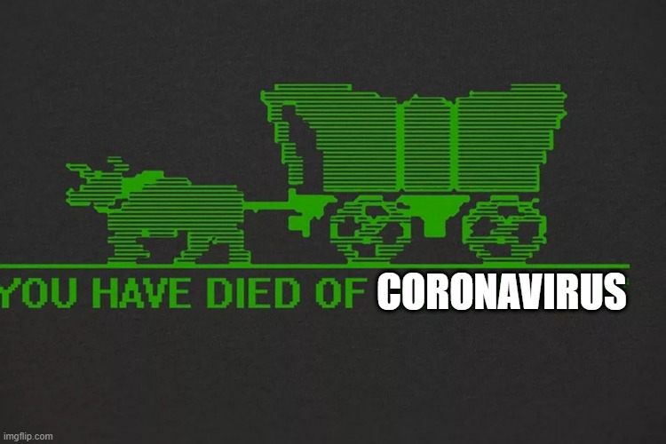 you have died of coronavirus | CORONAVIRUS | image tagged in coronavirus,covid-19,wear a mask | made w/ Imgflip meme maker