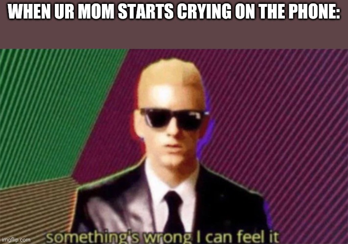something's wrong i can feel it | WHEN UR MOM STARTS CRYING ON THE PHONE: | image tagged in something's wrong i can feel it | made w/ Imgflip meme maker