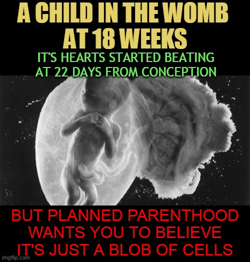 A CHILD IN THE WOMB 
AT 18 WEEKS; IT'S HEARTS STARTED BEATING AT 22 DAYS FROM CONCEPTION; BUT PLANNED PARENTHOOD WANTS YOU TO BELIEVE IT'S JUST A BLOB OF CELLS | made w/ Imgflip meme maker