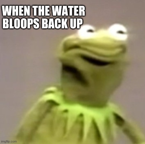 Kermit Weird Face | WHEN THE WATER BLOOPS BACK UP | image tagged in kermit weird face | made w/ Imgflip meme maker