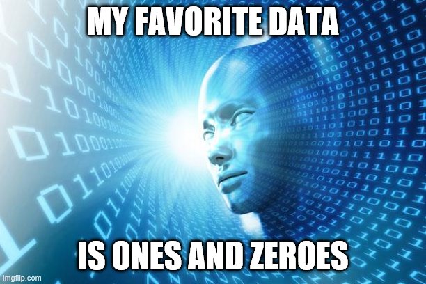 DATA! | MY FAVORITE DATA; IS ONES AND ZEROES | image tagged in internet,computer | made w/ Imgflip meme maker