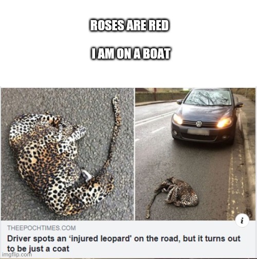 ROSES ARE RED; I AM ON A BOAT | made w/ Imgflip meme maker