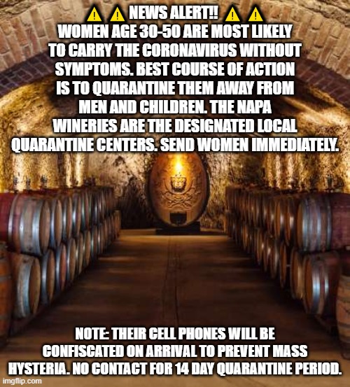 ⚠️⚠️NEWS ALERT!! ⚠️⚠️
WOMEN AGE 30-50 ARE MOST LIKELY TO CARRY THE CORONAVIRUS WITHOUT SYMPTOMS. BEST COURSE OF ACTION IS TO QUARANTINE THEM AWAY FROM MEN AND CHILDREN. THE NAPA WINERIES ARE THE DESIGNATED LOCAL QUARANTINE CENTERS. SEND WOMEN IMMEDIATELY. NOTE: THEIR CELL PHONES WILL BE CONFISCATED ON ARRIVAL TO PREVENT MASS HYSTERIA. NO CONTACT FOR 14 DAY QUARANTINE PERIOD. | image tagged in covid-19,coronavirus,corona virus | made w/ Imgflip meme maker