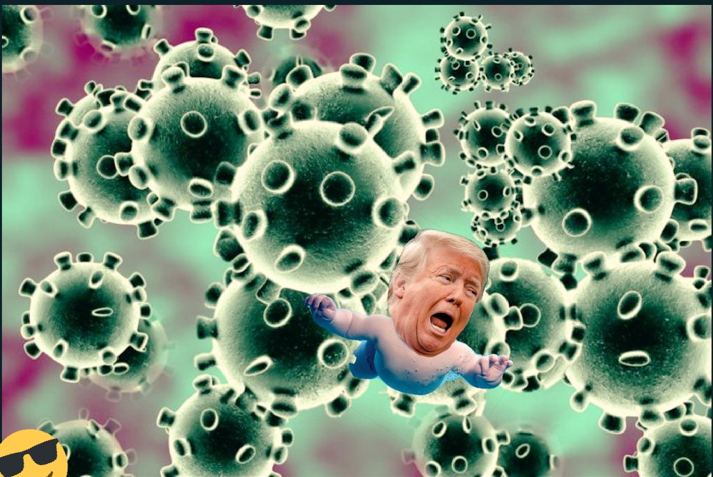 High Quality Trump virus Blank Meme Template