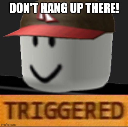 Roblox Triggered | DON'T HANG UP THERE! | image tagged in roblox triggered | made w/ Imgflip meme maker
