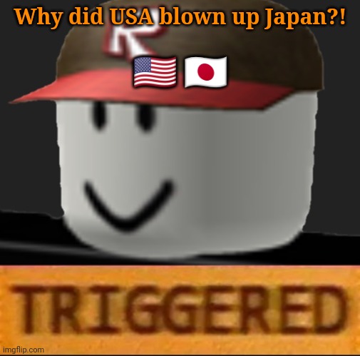 Roblox Triggered | Why did USA blown up Japan?! 🇺🇸 🇯🇵 | image tagged in roblox triggered | made w/ Imgflip meme maker