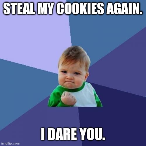 Success Kid | STEAL MY COOKIES AGAIN. I DARE YOU. | image tagged in memes,success kid | made w/ Imgflip meme maker