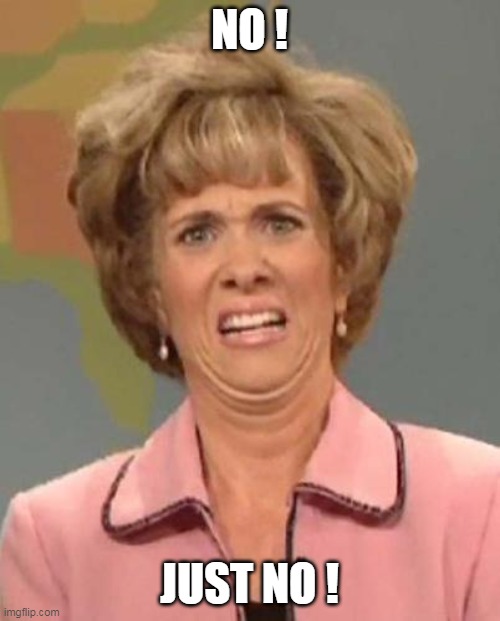 Disgusted Kristin Wiig | NO ! JUST NO ! | image tagged in disgusted kristin wiig | made w/ Imgflip meme maker