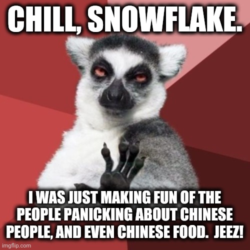 Chill Out Lemur Meme | CHILL, SNOWFLAKE. I WAS JUST MAKING FUN OF THE PEOPLE PANICKING ABOUT CHINESE PEOPLE, AND EVEN CHINESE FOOD.  JEEZ! | image tagged in memes,chill out lemur | made w/ Imgflip meme maker