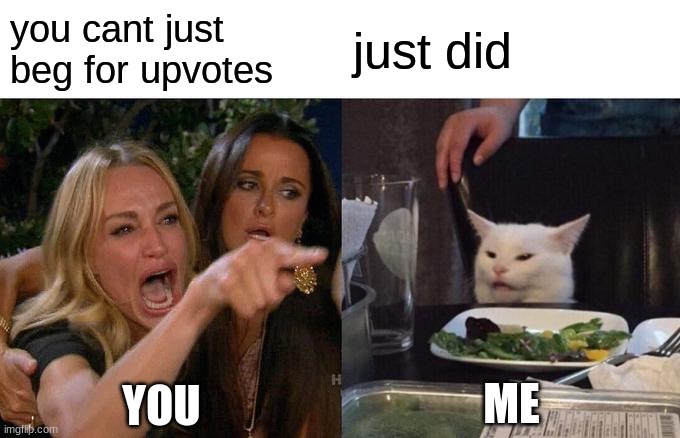 Woman Yelling At Cat Meme | you cant just beg for upvotes; just did; ME; YOU | image tagged in memes,woman yelling at cat | made w/ Imgflip meme maker