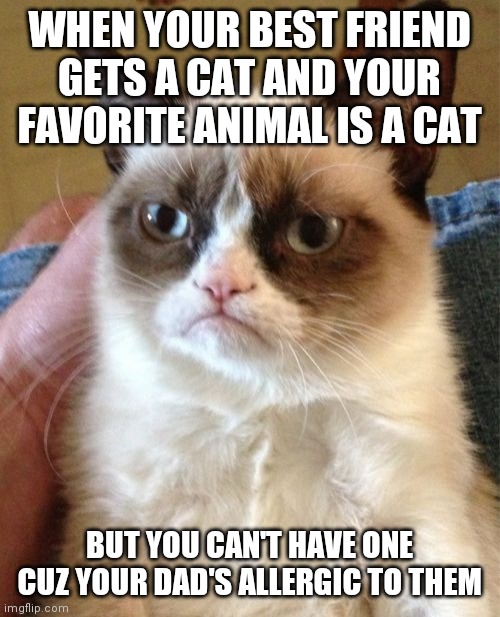 Grumpy Cat Meme | WHEN YOUR BEST FRIEND GETS A CAT AND YOUR FAVORITE ANIMAL IS A CAT; BUT YOU CAN'T HAVE ONE CUZ YOUR DAD'S ALLERGIC TO THEM | image tagged in memes,grumpy cat | made w/ Imgflip meme maker