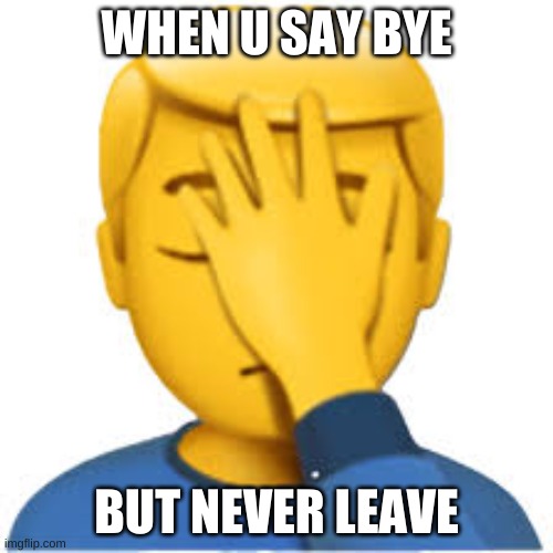 WHEN U SAY BYE; BUT NEVER LEAVE | image tagged in face palm,funny,face palm funny,memes | made w/ Imgflip meme maker