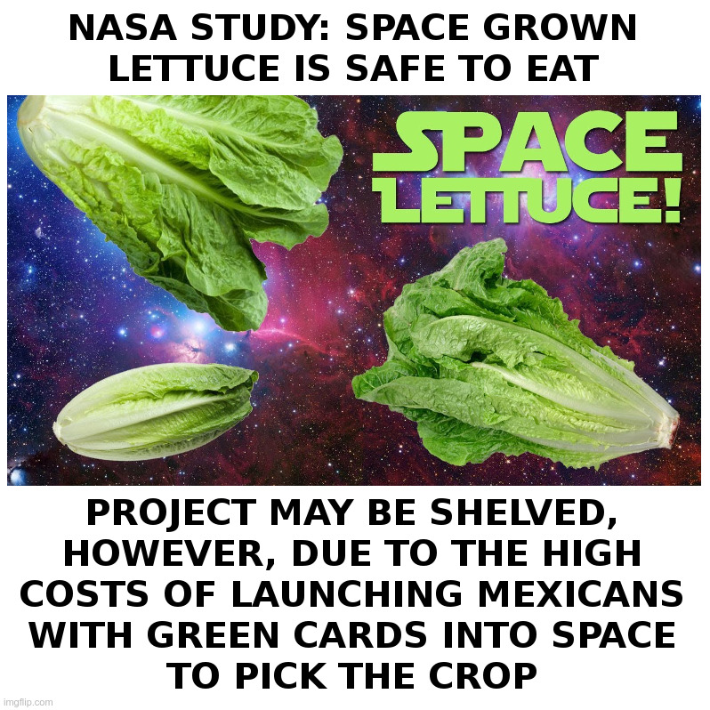 Space Lettuce! | image tagged in nasa,space,lettuce,mexicans,green,cards | made w/ Imgflip meme maker