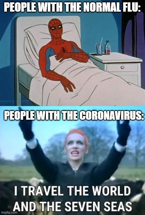 I travel the world |  PEOPLE WITH THE NORMAL FLU:; PEOPLE WITH THE CORONAVIRUS: | image tagged in memes,spiderman hospital,funny,coronavirus,flu,travel | made w/ Imgflip meme maker