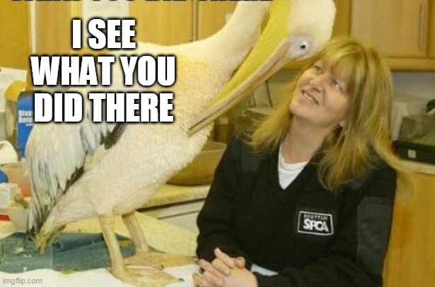 I see what you did there Pelican | I SEE WHAT YOU DID THERE | image tagged in i see what you did there pelican | made w/ Imgflip meme maker