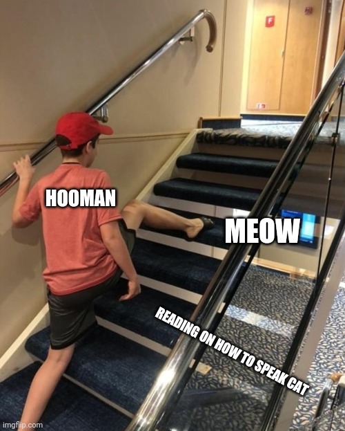 skipping stairs | HOOMAN; MEOW; READING ON HOW TO SPEAK CAT | image tagged in skipping stairs | made w/ Imgflip meme maker