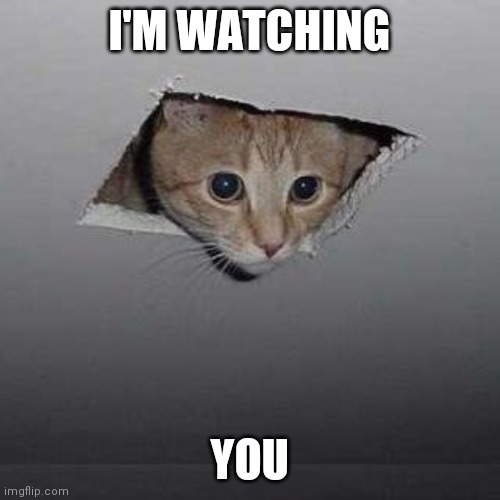 Ceiling Cat | I'M WATCHING; YOU | image tagged in memes,ceiling cat | made w/ Imgflip meme maker