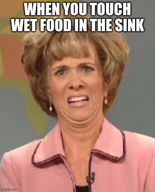 Disgusted Kristin Wiig | WHEN YOU TOUCH WET FOOD IN THE SINK | image tagged in disgusted kristin wiig | made w/ Imgflip meme maker