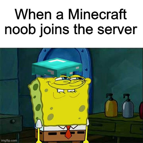 Don't You Squidward Meme | When a Minecraft noob joins the server | image tagged in memes,dont you squidward | made w/ Imgflip meme maker