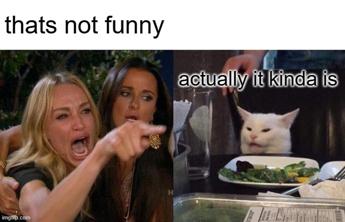 Woman Yelling At Cat Meme | thats not funny actually it kinda is | image tagged in memes,woman yelling at cat | made w/ Imgflip meme maker