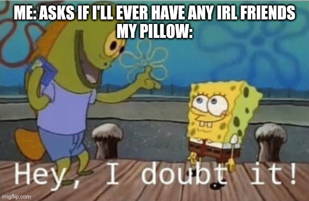 Hey, I doubt it! | ME: ASKS IF I'LL EVER HAVE ANY IRL FRIENDS
MY PILLOW: | image tagged in hey i doubt it | made w/ Imgflip meme maker