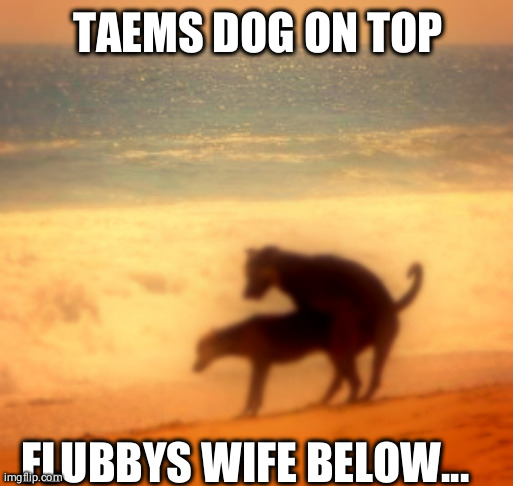 two dogs fucking | TAEMS DOG ON TOP; FLUBBYS WIFE BELOW... | image tagged in two dogs fucking | made w/ Imgflip meme maker