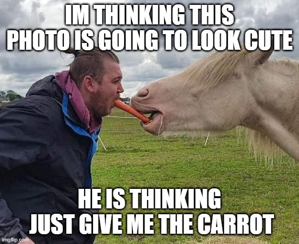 IM THINKING THIS PHOTO IS GOING TO LOOK CUTE; HE IS THINKING
 JUST GIVE ME THE CARROT | made w/ Imgflip meme maker