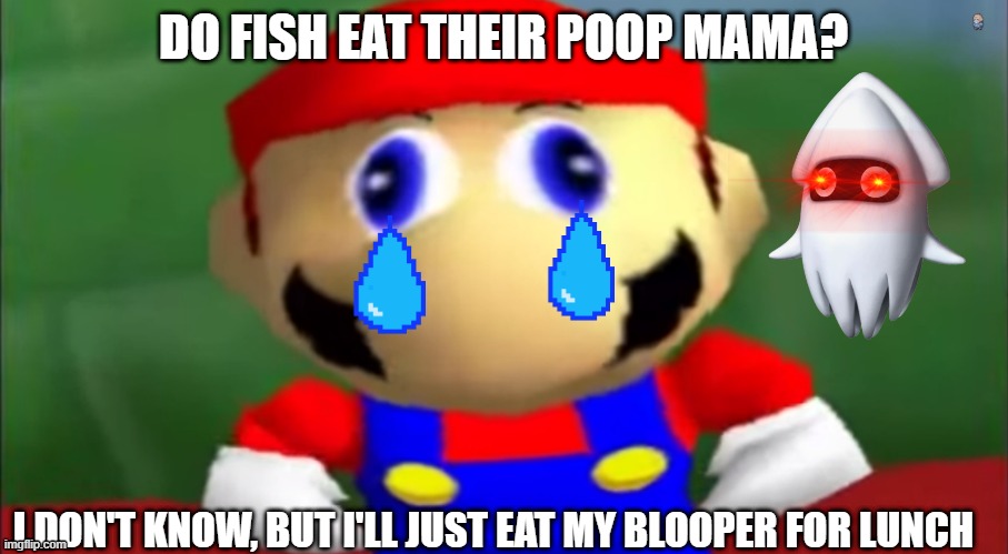 Derpy mario | DO FISH EAT THEIR POOP MAMA? I DON'T KNOW, BUT I'LL JUST EAT MY BLOOPER FOR LUNCH | image tagged in derpy mario | made w/ Imgflip meme maker