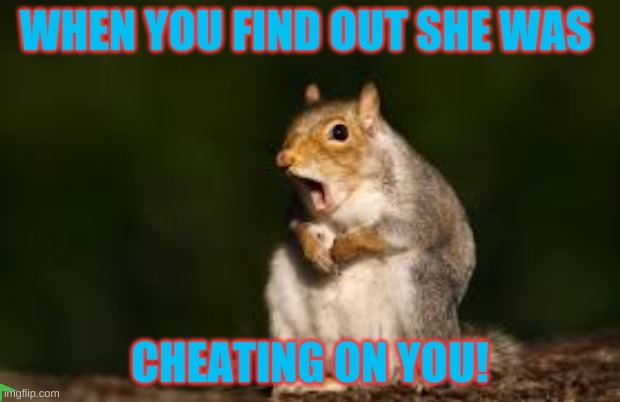 @#$% her | WHEN YOU FIND OUT SHE WAS; CHEATING ON YOU! | image tagged in that face you make when | made w/ Imgflip meme maker