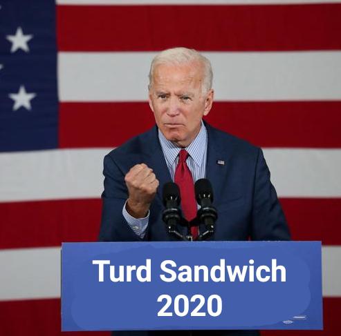 High Quality turd sandwich 2020 Blank Meme Template