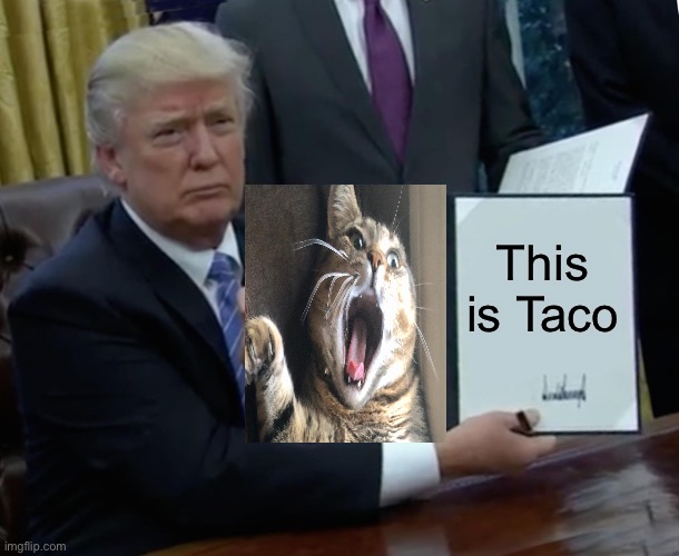 Trump Bill Signing Meme | This is Taco | image tagged in memes,trump bill signing | made w/ Imgflip meme maker