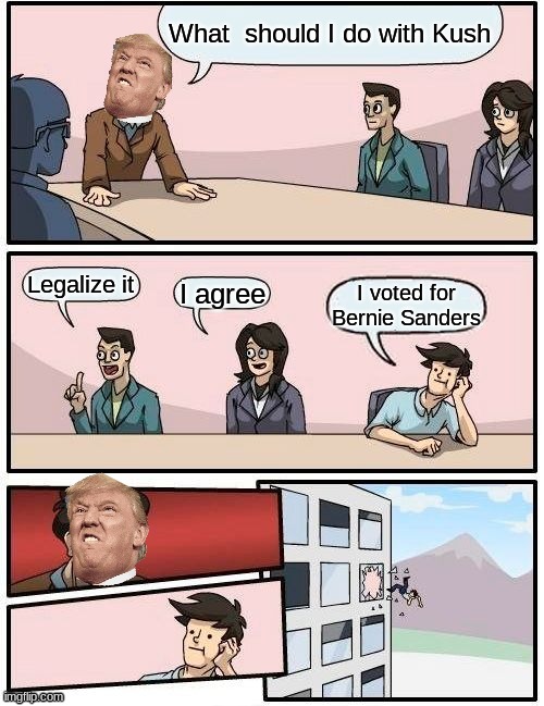 Why Am I In This Meeting Again? | What  should I do with Kush; Legalize it; I agree; I voted for Bernie Sanders | image tagged in memes,boardroom meeting suggestion,donald trump | made w/ Imgflip meme maker