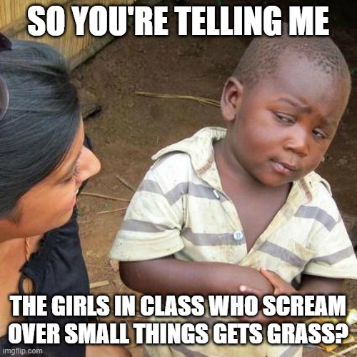 Third World Skeptical Kid Meme | SO YOU'RE TELLING ME THE GIRLS IN CLASS WHO SCREAM OVER SMALL THINGS GETS GRASS? | image tagged in memes,third world skeptical kid | made w/ Imgflip meme maker
