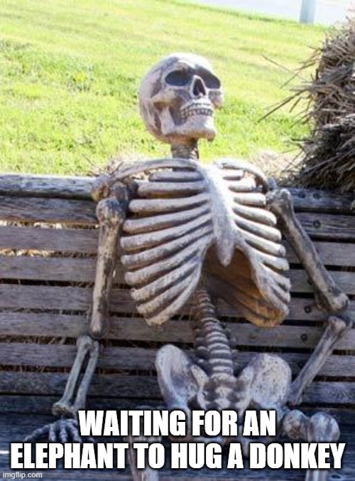 Waiting Skeleton | WAITING FOR AN ELEPHANT TO HUG A DONKEY | image tagged in memes,waiting skeleton | made w/ Imgflip meme maker