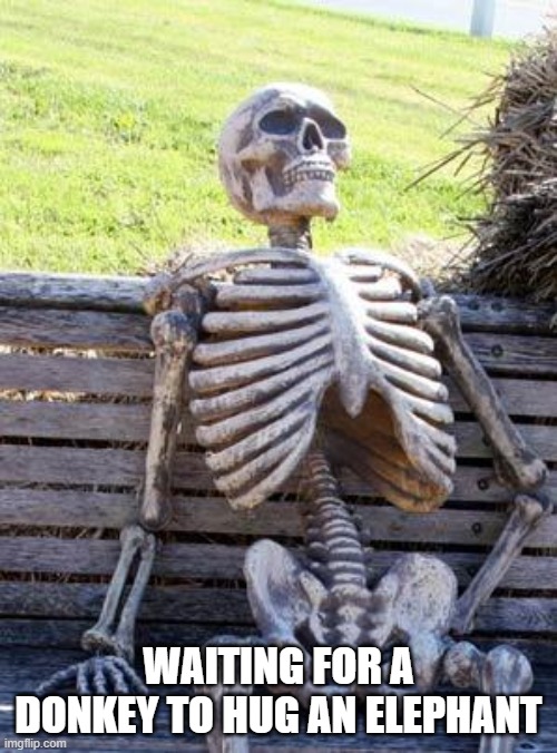 Waiting Skeleton | WAITING FOR A DONKEY TO HUG AN ELEPHANT | image tagged in memes,waiting skeleton | made w/ Imgflip meme maker