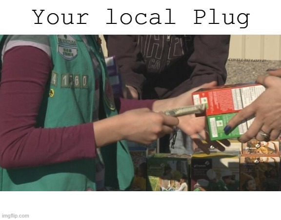 Girl Scout Selling Cookies The Local Plug | image tagged in girl scout selling cookies the local plug | made w/ Imgflip meme maker