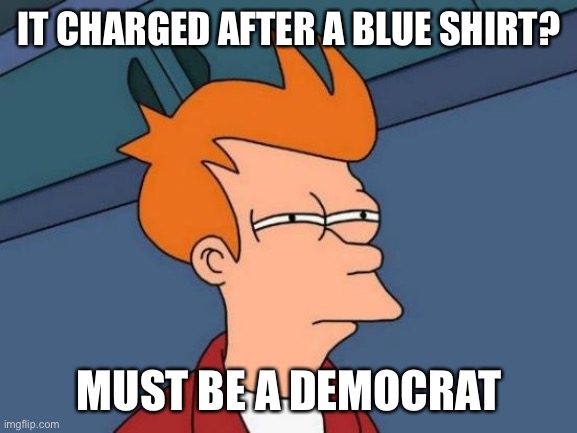 Futurama Fry Meme | IT CHARGED AFTER A BLUE SHIRT? MUST BE A DEMOCRAT | image tagged in memes,futurama fry | made w/ Imgflip meme maker