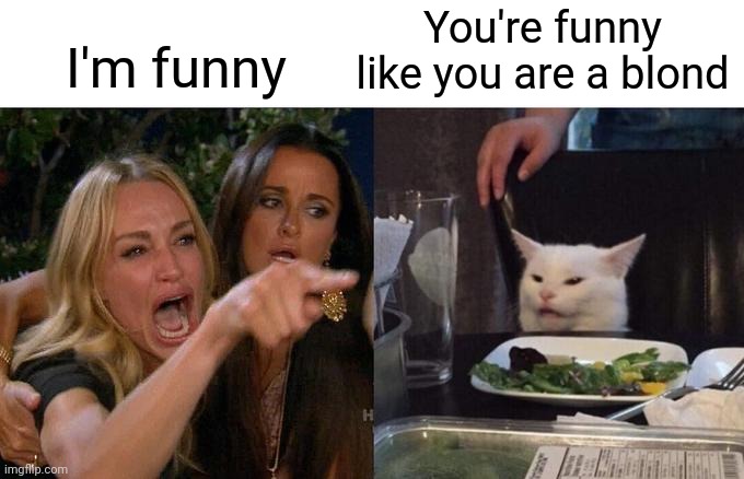 Woman Yelling At Cat Meme | You're funny like you are a blond; I'm funny | image tagged in memes,woman yelling at cat | made w/ Imgflip meme maker