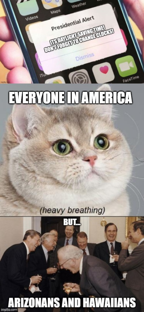 EVERYONE IN AMERICA | image tagged in memes,heavy breathing cat | made w/ Imgflip meme maker