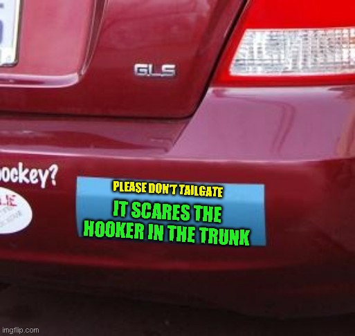 Blank bumper sticker | PLEASE DON'T TAILGATE IT SCARES THE HOOKER IN THE TRUNK | image tagged in blank bumper sticker | made w/ Imgflip meme maker