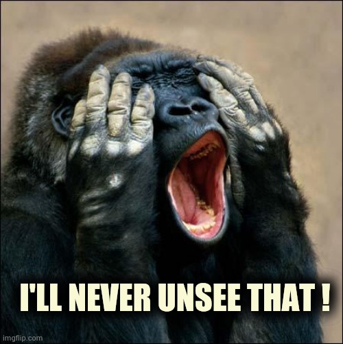 Gorilla covering eyes | I'LL NEVER UNSEE THAT ! | image tagged in gorilla covering eyes | made w/ Imgflip meme maker