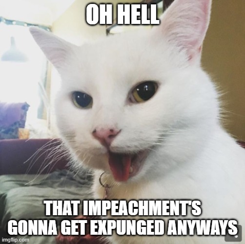 Smudge | OH HELL THAT IMPEACHMENT'S GONNA GET EXPUNGED ANYWAYS | image tagged in smudge | made w/ Imgflip meme maker