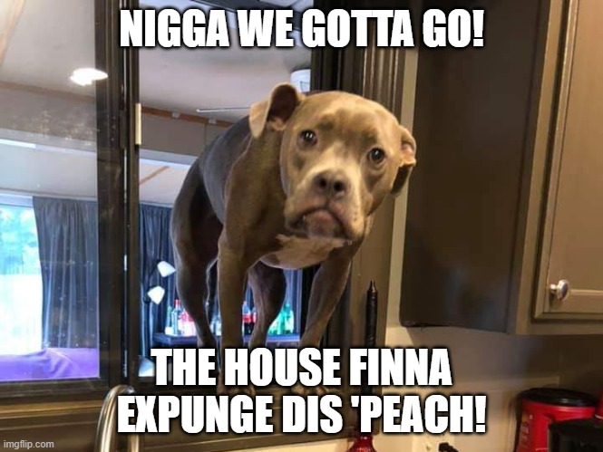 N**GA WE GOTTA GO! THE HOUSE FINNA EXPUNGE DIS 'PEACH! | image tagged in you ain't hear me barking | made w/ Imgflip meme maker