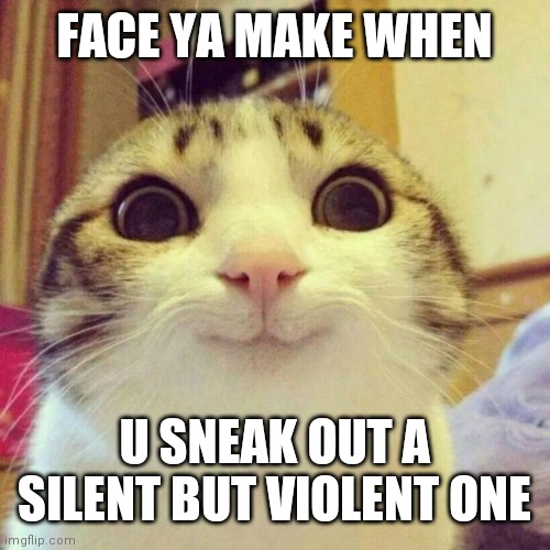 Smiling Cat Meme | FACE YA MAKE WHEN; U SNEAK OUT A SILENT BUT VIOLENT ONE | image tagged in memes,smiling cat | made w/ Imgflip meme maker