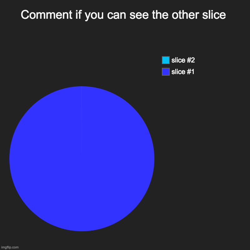 Comment if you can see the other slice | | image tagged in charts,pie charts | made w/ Imgflip chart maker