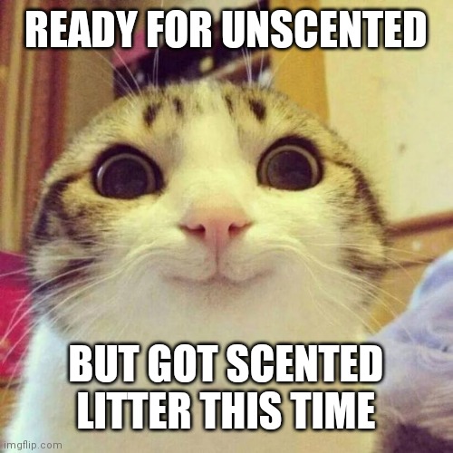 Smiling Cat | READY FOR UNSCENTED; BUT GOT SCENTED LITTER THIS TIME | image tagged in memes,smiling cat | made w/ Imgflip meme maker